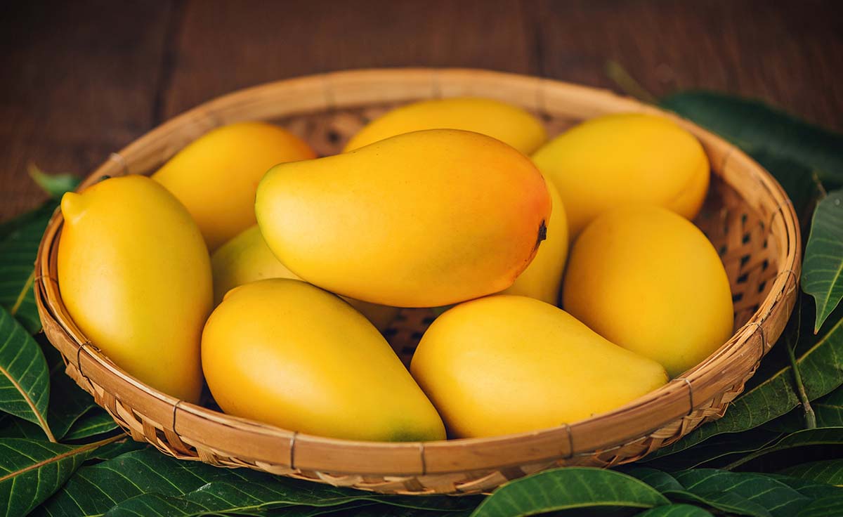 Alphonso Mango - Hapus