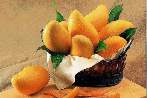 Alphonso (1 Box) + Kesar (1 Box) Combo