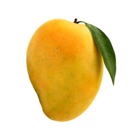 Alphonso Mango - Hapus